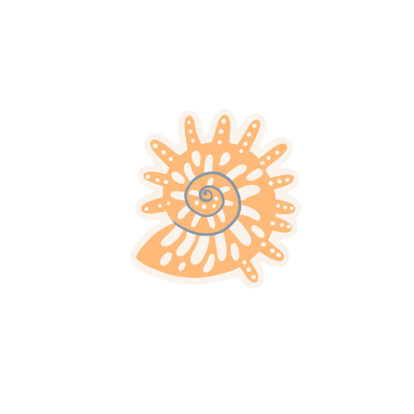 Spider Conch